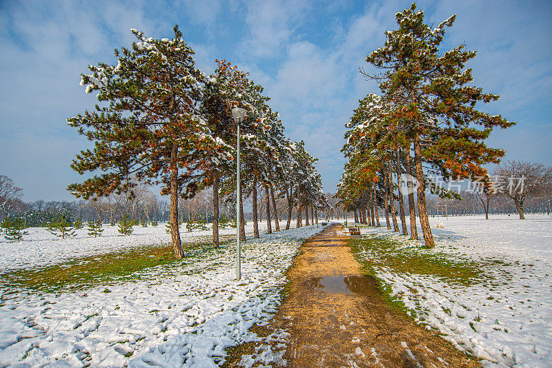 雪天下美丽的公园