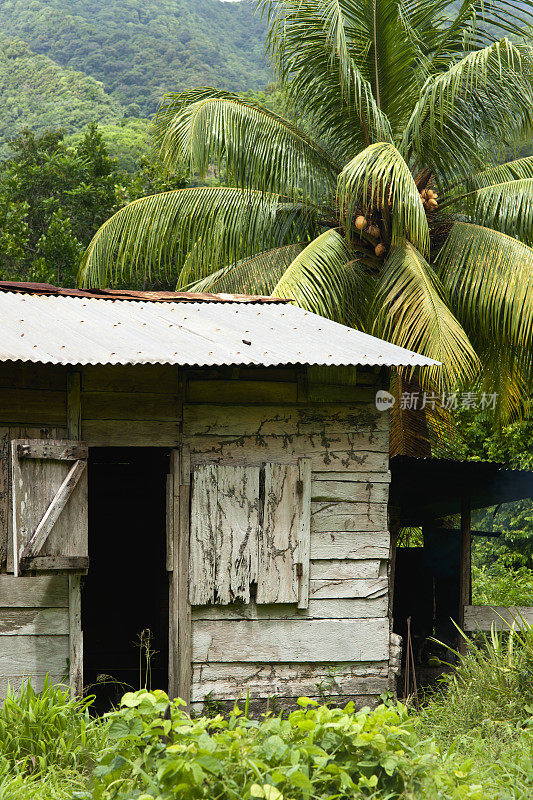 多米尼加的乡村家庭