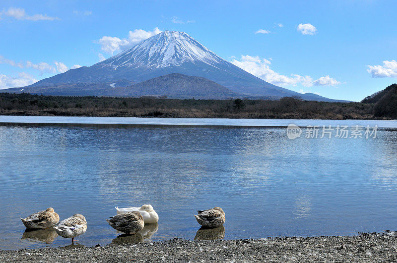 从富士五湖地区看富士山的冬天