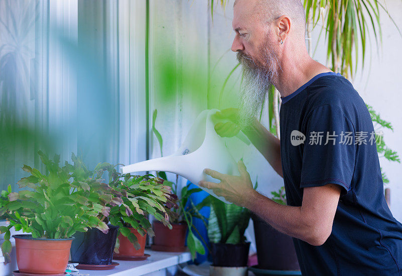 一个人在家给植物浇水