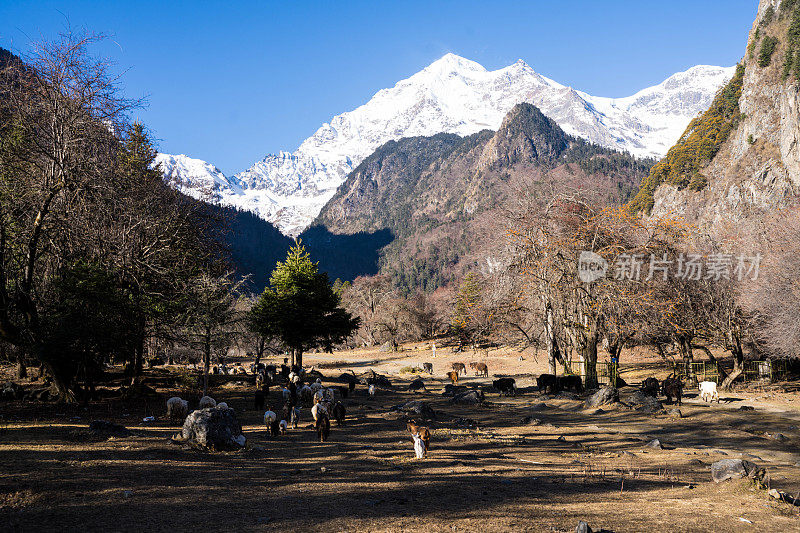 日出时的美丽雪山