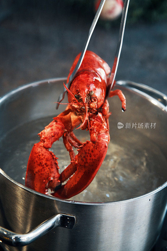 在家庭厨房烹饪新鲜健康的龙虾