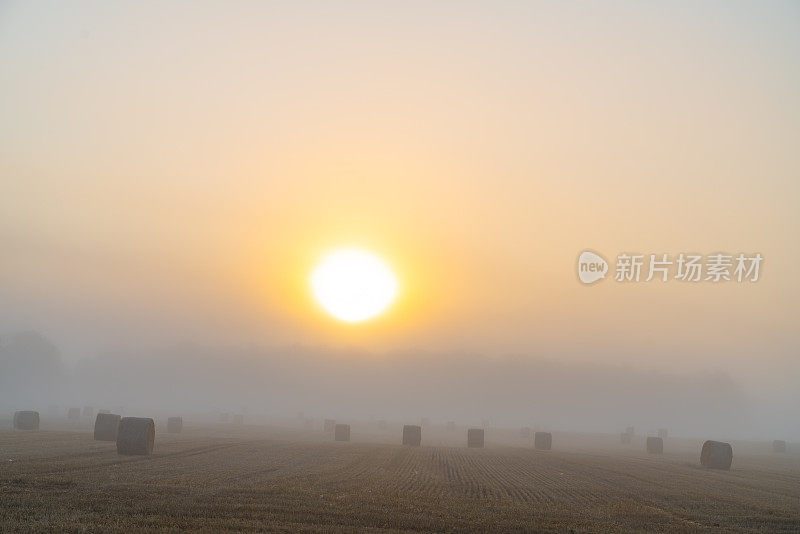 加拿大，曼彻斯特，佩里港，晨雾中的乡村景色