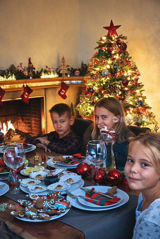 圣诞晚餐有三文鱼片，扇贝，龙虾，虾和圣诞蛋糕