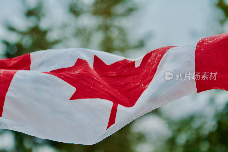 加拿大国旗的背景