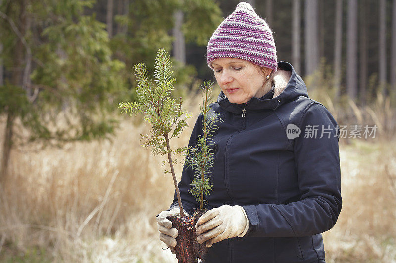 女人plantning树