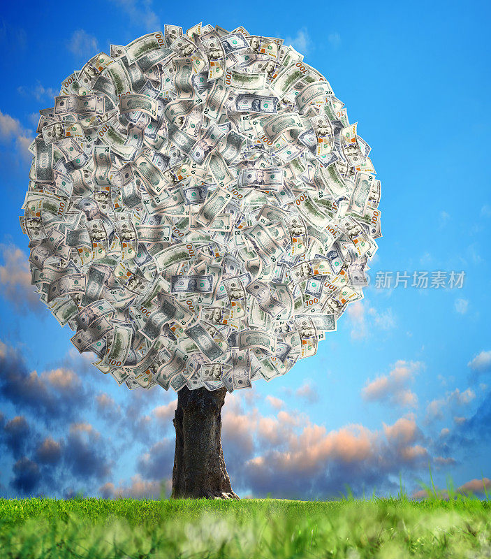 美国一百元钞票钞票树在阳光和绿色的景观