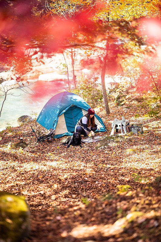 女性独自野营与她的狗在多彩的秋天森林