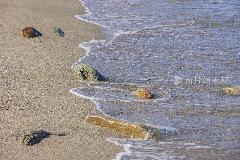 科西嘉岛沿岸拉维奇岛沿岸的海水