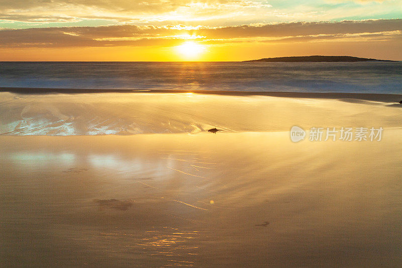 长时间曝光的金色夕阳在海滩上的海景