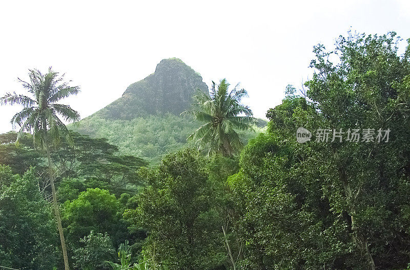 郁郁葱葱的岛屿