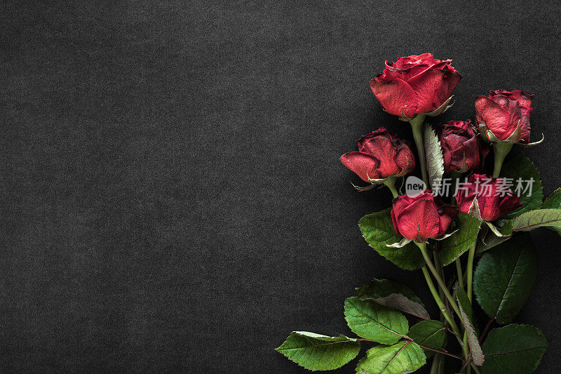新鲜的红玫瑰在深黑色的桌子背景。特写镜头。慰问卡片。空的地方，情感，感性的文本，引用或谚语。自顶向下视图。