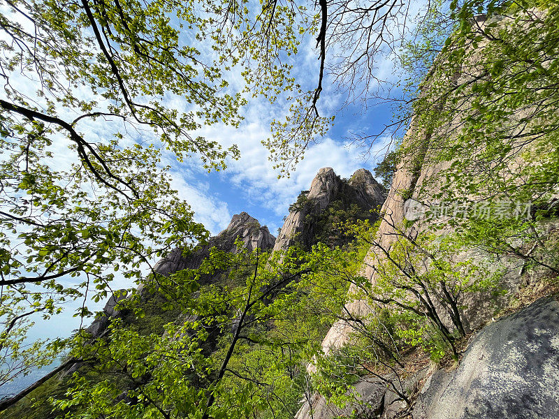 春天的山