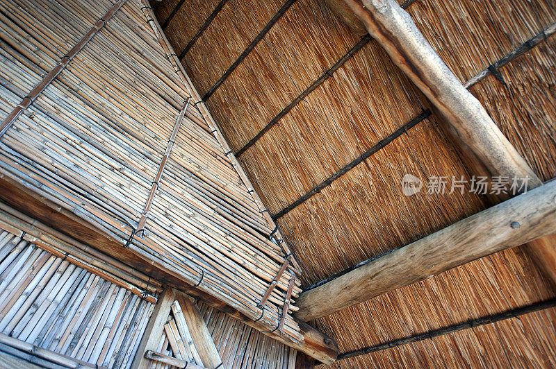 芦苇和芦苇屋顶图案，马拉维湖周围，马拉维，非洲