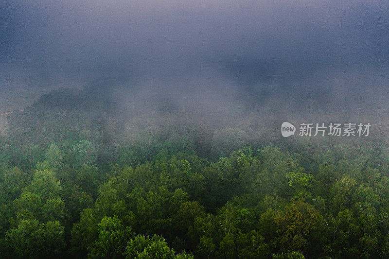 雨林鸟瞰图。雨云无人机摄影。夏天。可持续性。保护自然。森林里的绿树。多雾的天气