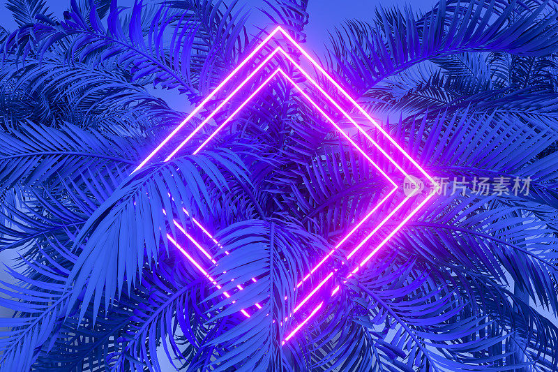 热带棕榈树树叶与霓虹闪电框架，抽象的背景
