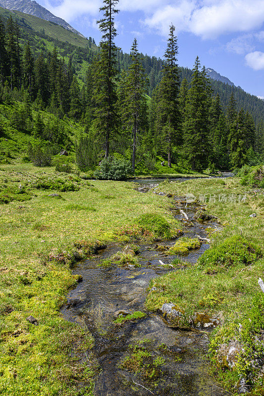 山水在山间，有森林和溪流