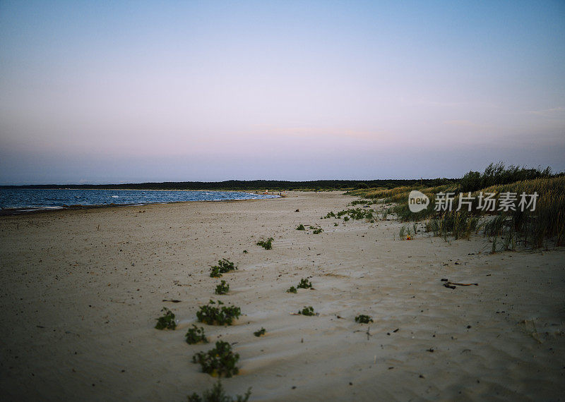 粉红色的天空和海上的夕阳。长满草的海岸