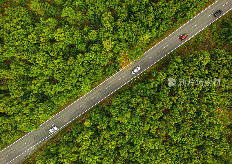 鸟瞰郊区树木之间的道路