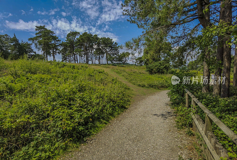 希思兰国家公园风景秀丽的利基山西米德兰兹英国