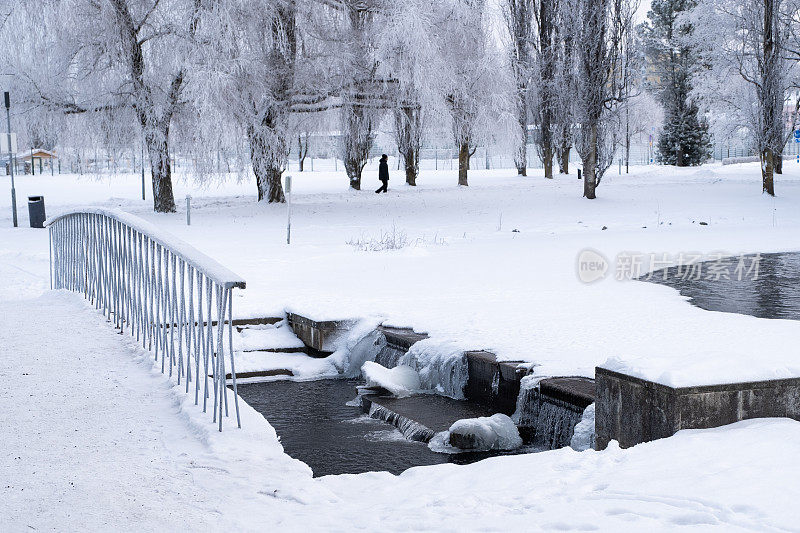 冬天的风景。在城市公园的湖面上，被冰雪覆盖的树枝和一座木制人行桥。拉赫蒂寒冷的冬日。