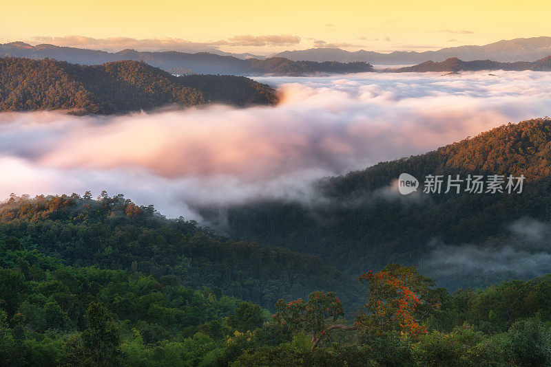 泰国清迈，美丽的风景在一个雾蒙蒙的早晨。