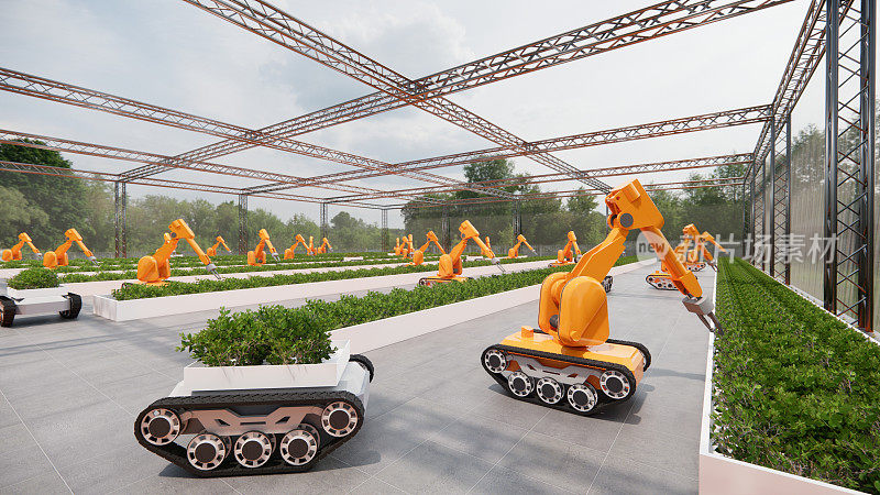 机器人手臂仓库在室内种植蔬菜，以提高种植效率。