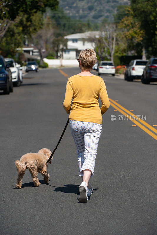 成年妇女在街上遛狗