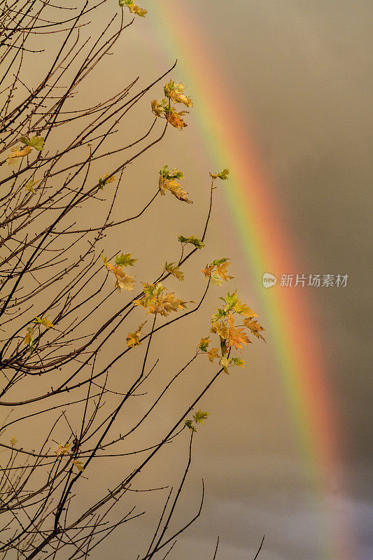 秋日天空中的彩虹