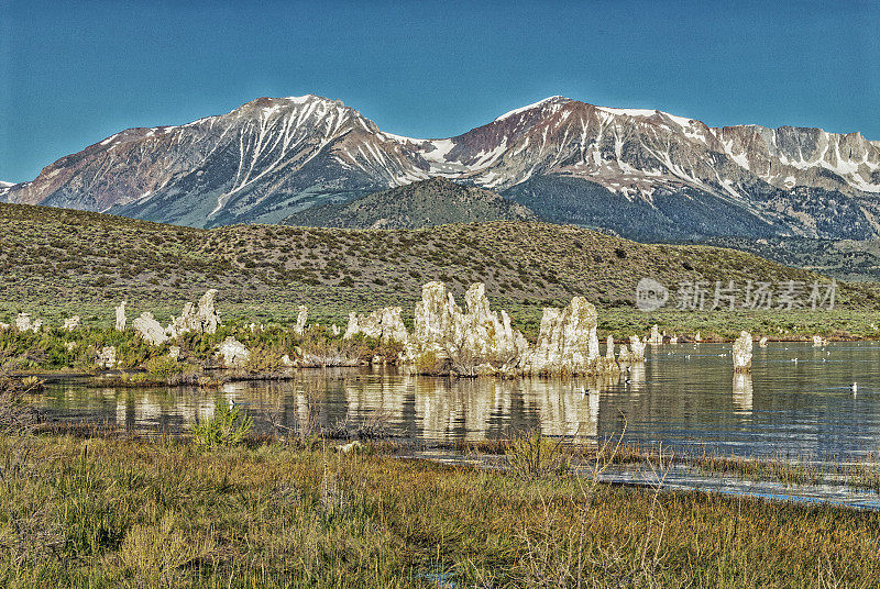 莫诺湖凝灰岩和东斜坡内华达山脉雪