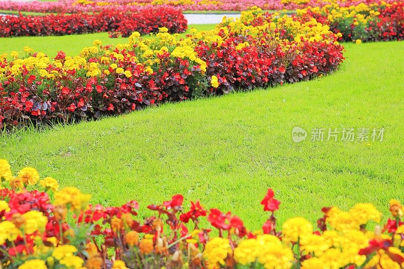 在Stadtpark，维也纳的观赏园和花坛细节