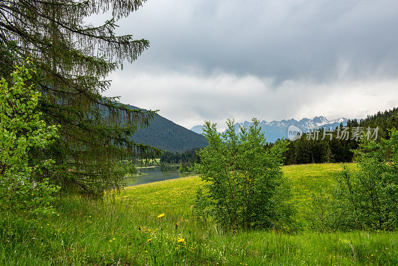 奥地利阿尔卑斯山郁郁葱葱的山谷