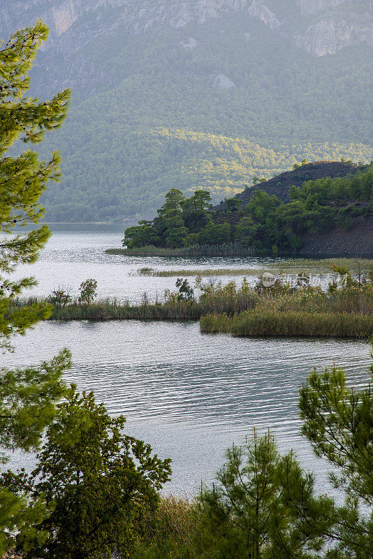 湖景