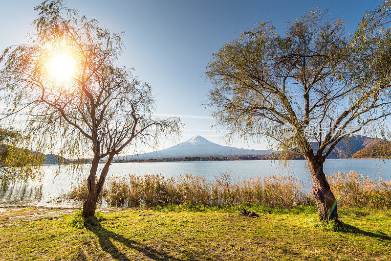 早晨的富士山和川口湖，秋季的富士山在山町。