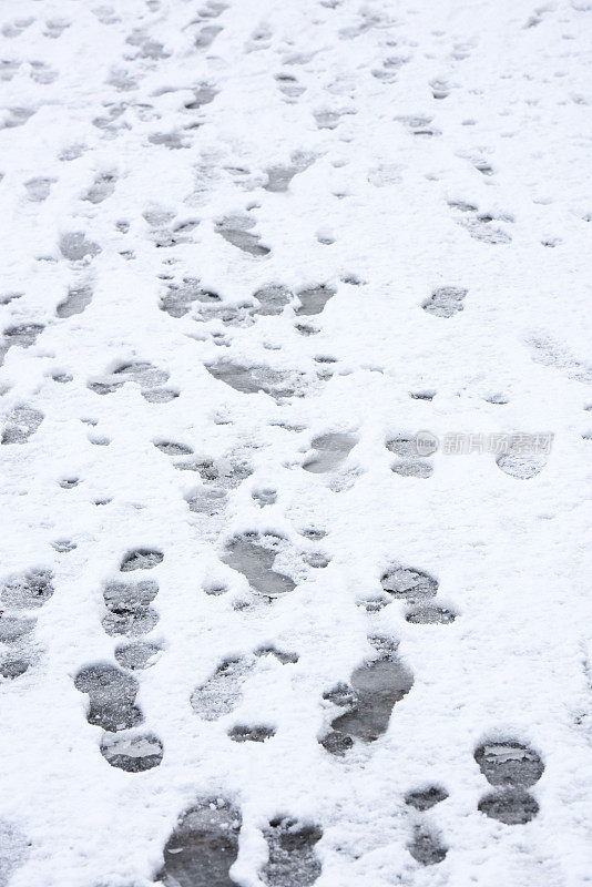 雪中狗和人的脚印