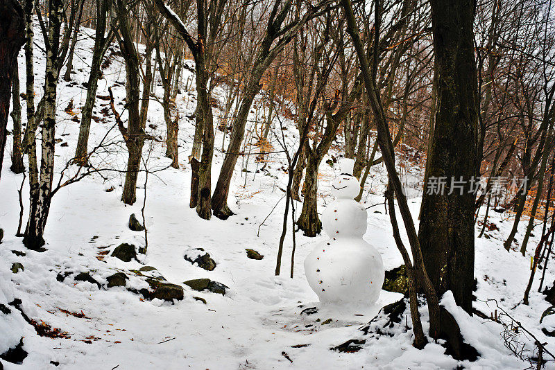 森林里微笑的雪人