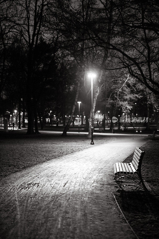 克拉科夫公园的长椅，晚上，黑白相间