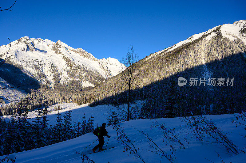 登山的野外滑雪者