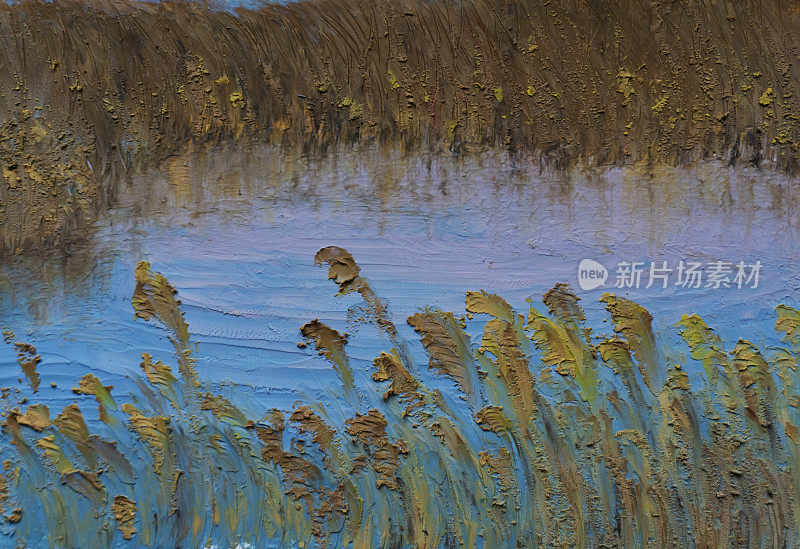 色彩和纹理的背景:芦苇在水中