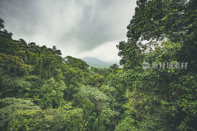 阿雷纳尔火山和雨林，哥斯达黎加