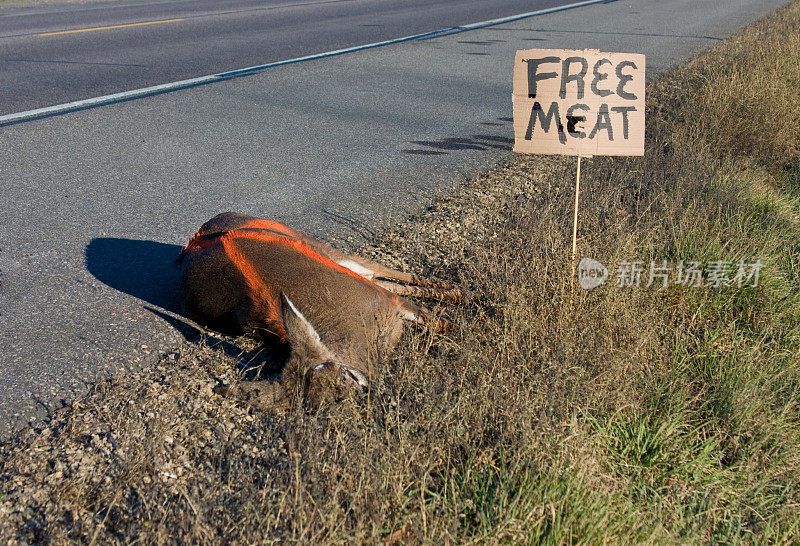 免费的肉