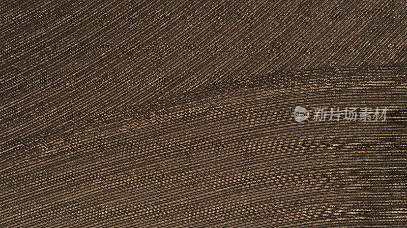 鸟瞰图的棉花田准备收获在秋天日落，德克萨斯州，美国