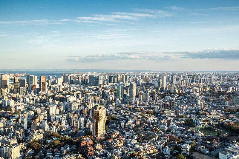 日本东京的现代城市全景