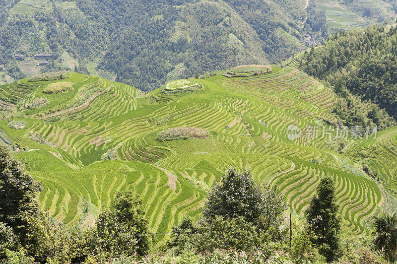 中国全景