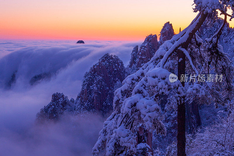 太黄山