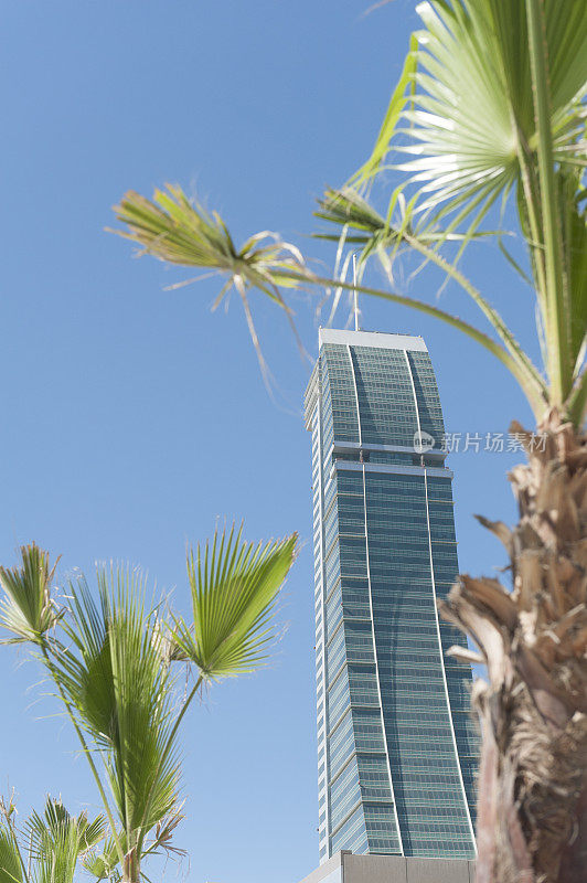 巴林的金融大厦，有棕榈树