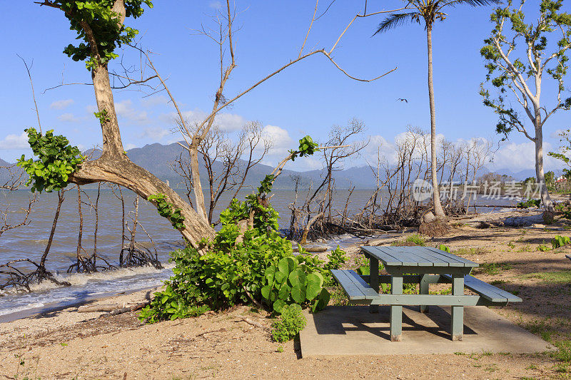 飓风过后的红树林，小山，大海和野餐桌上。