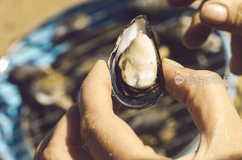 在康沃尔的海滩上烹饪野生贻贝