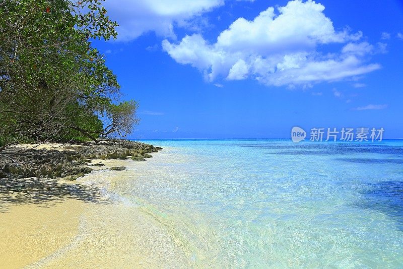 热带天堂:蓝绿色的加勒比海滩梦幻风景，白色的沙子，绿色的树叶