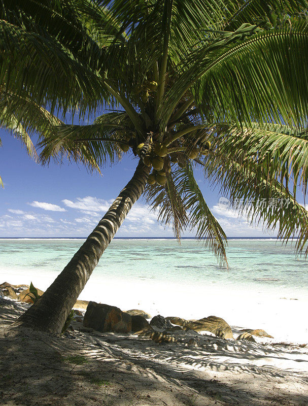 拉罗汤加,南太平洋